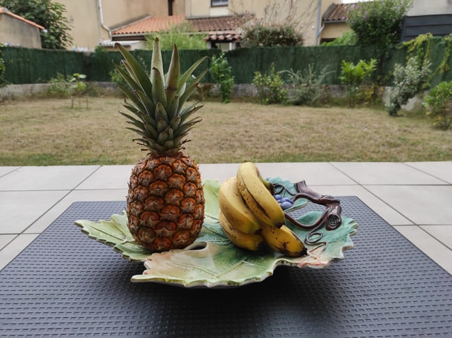 Gainer maison banane et ananas