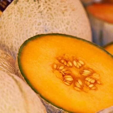 melon musculation