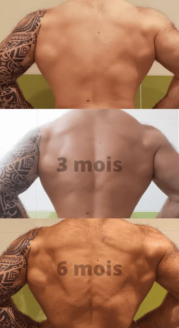 Résultat musculation