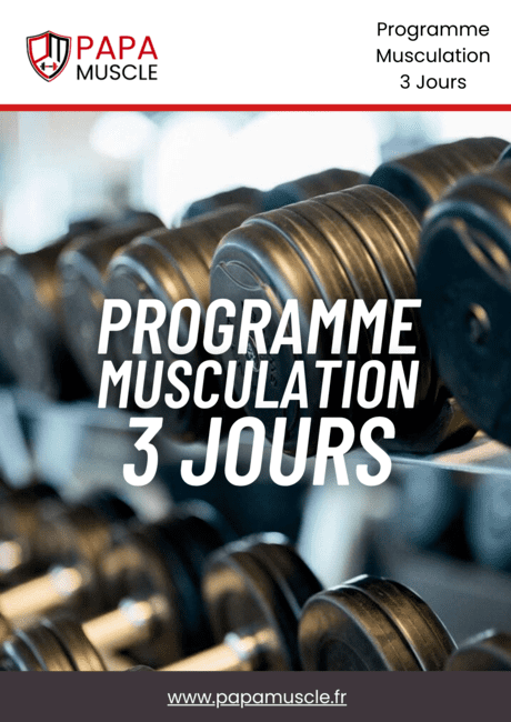 programme musculation 3 jours par semaine PDF