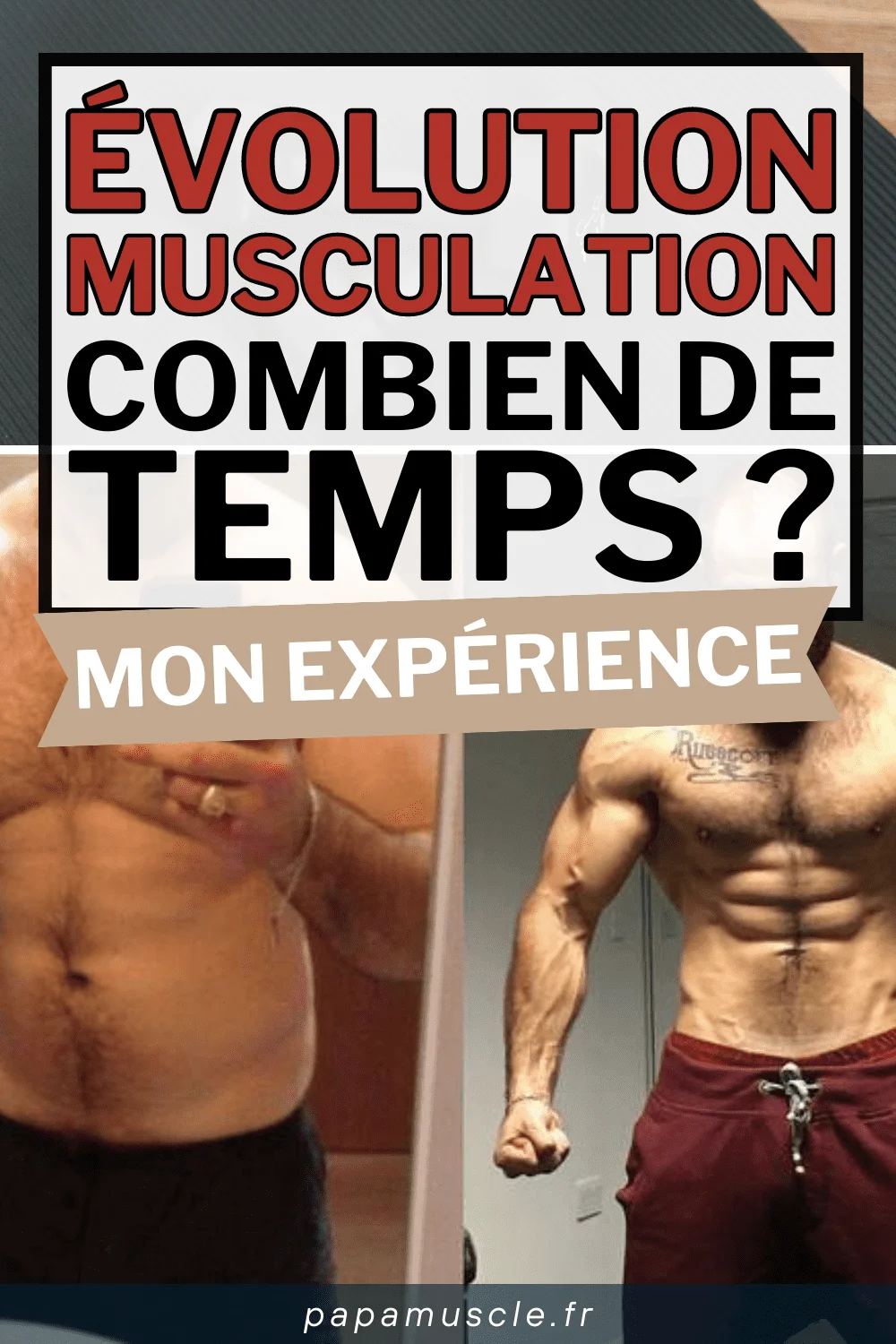 évolution musculation