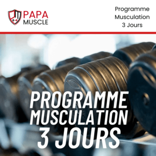 Programme musculation 3 fois par semaine PDF (gratuit)