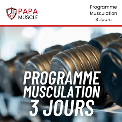 programme musculation 3 jours par semaine