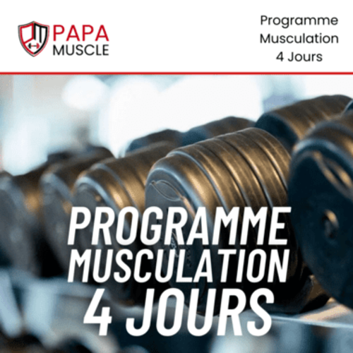 Programme musculation 4 jours par semaine PDF (gratuit)
