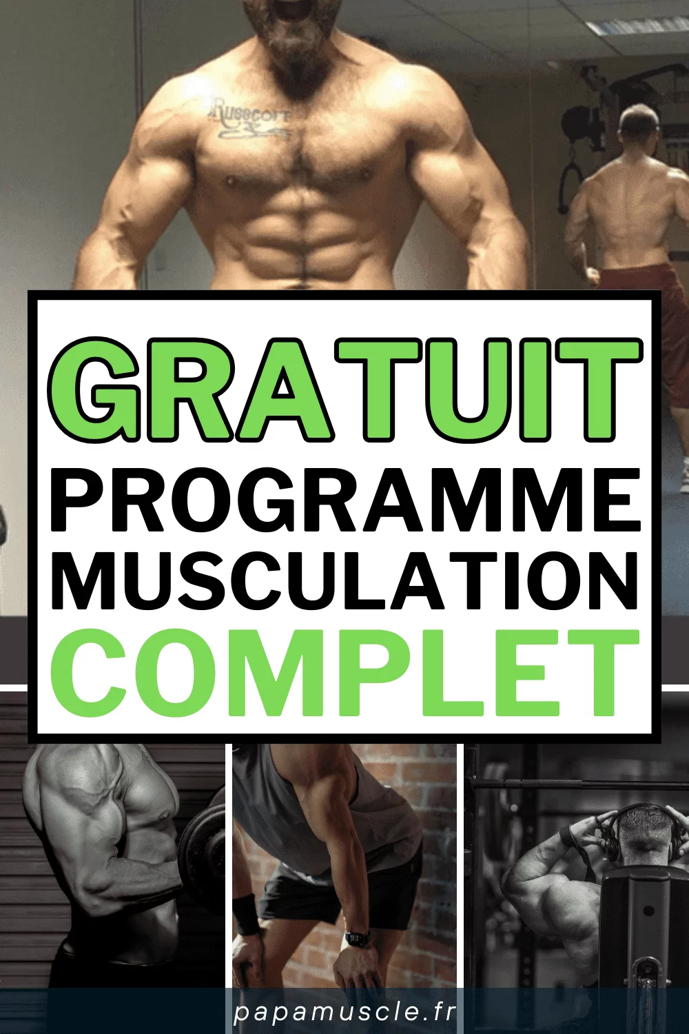 programme musculation complet
