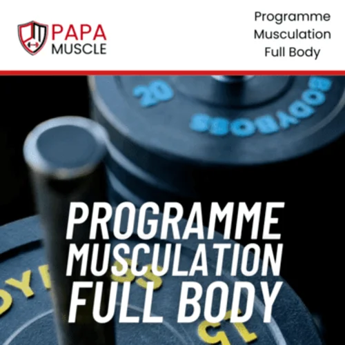 programme musculation full body