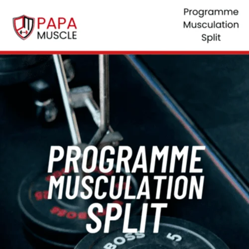 programme musculation split