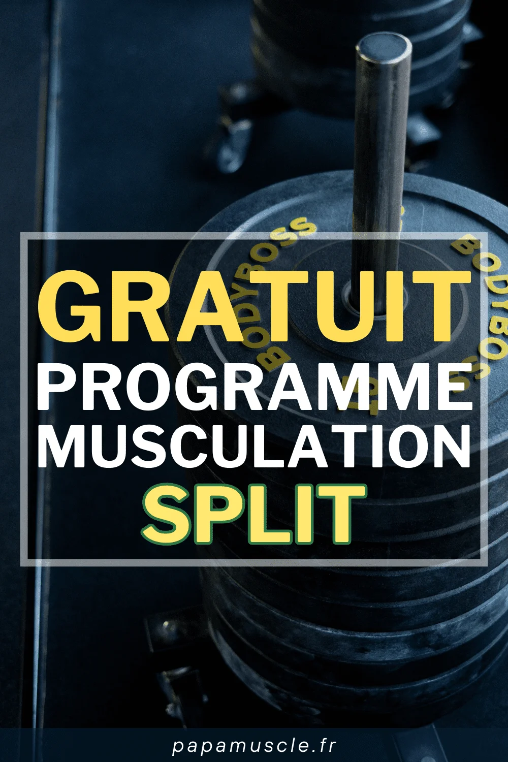 programme musculation split
