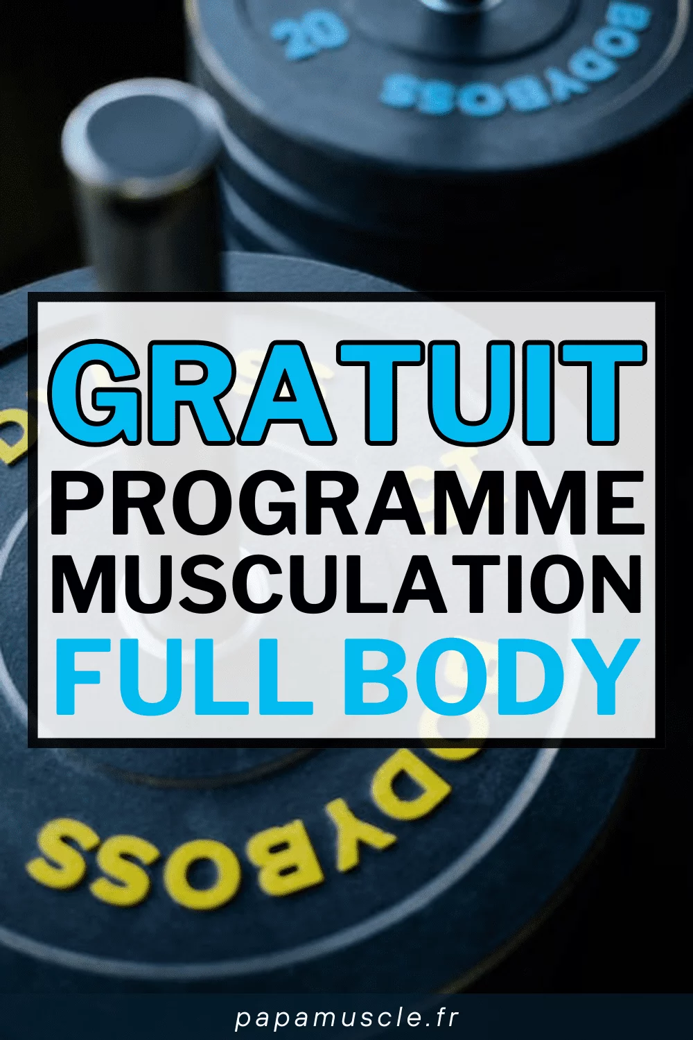 programme musculation full body gratuit