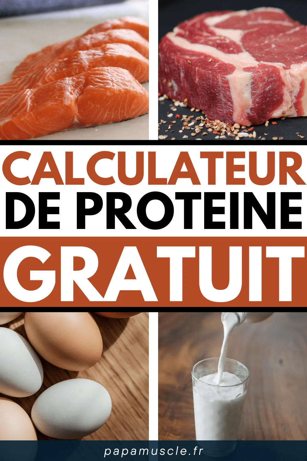 calculateur protéines