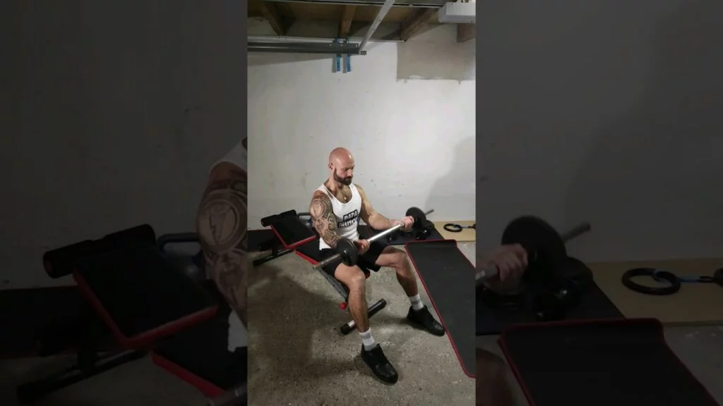 Curl biceps assis barre (seated barbell curl)