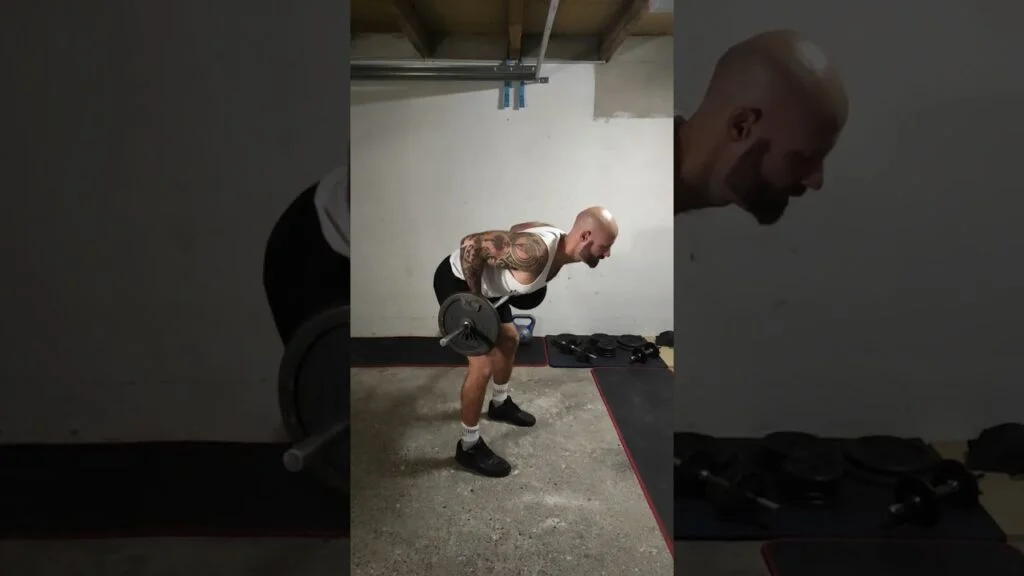 Rowing buste penché barre supination (underhand barbell bent over row)