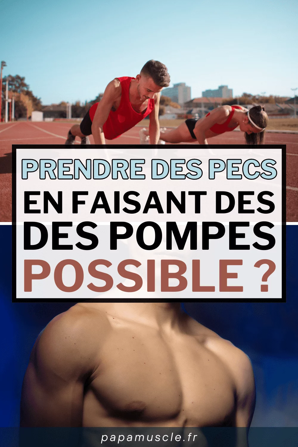 pectoraux pompes