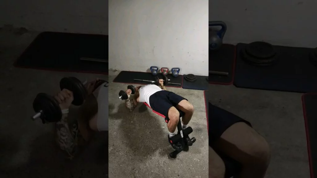 Développé décliné haltère (dumbbell decline bench press)