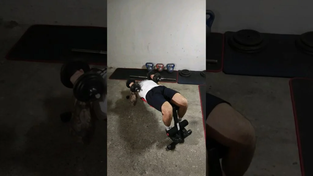 Développé décliné haltère prise neutre (decline neutral grip dumbbell bench press)