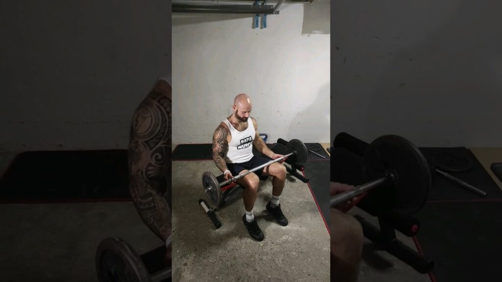 Extension mollet assis barre (seated barbell calf raise)