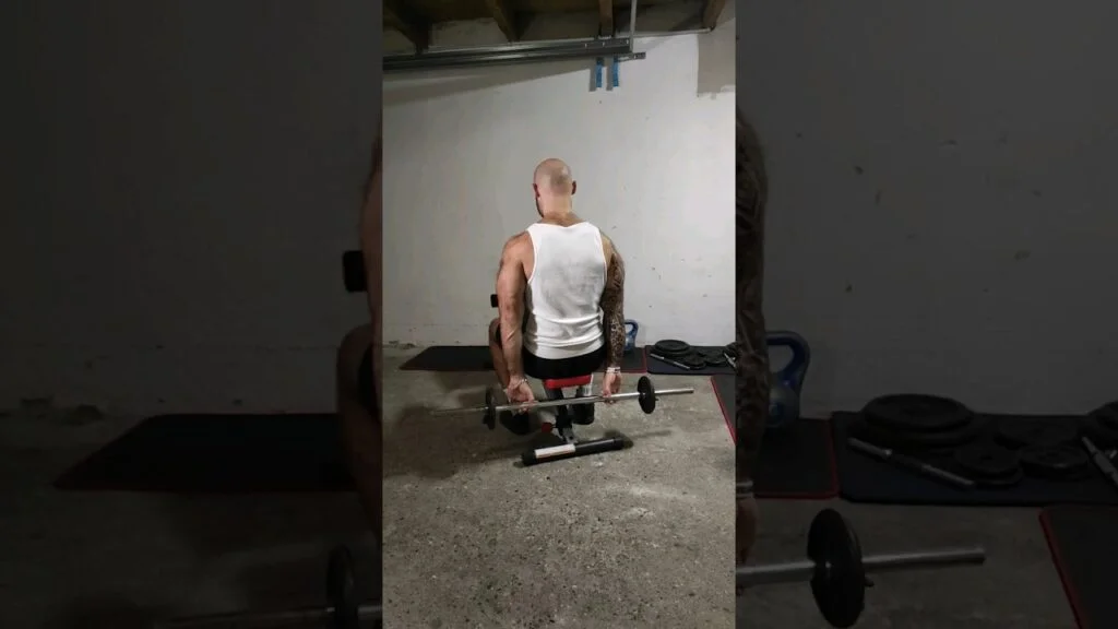 Flexion poignet assis barre derrière le dos (seated behind the back barbell wrist curl)