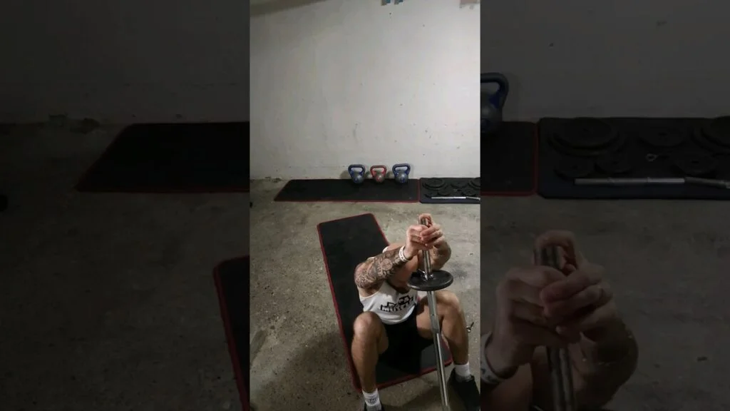 Sit-up landmine (landmine sit up)