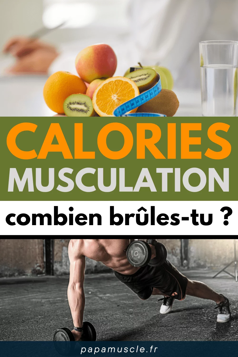calorie musculation