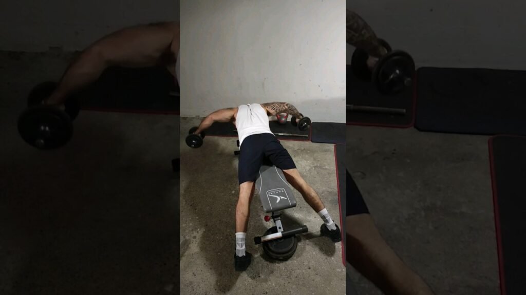 Oiseau couché dorsaux haltère (lying dumbbell lats lateral raise)