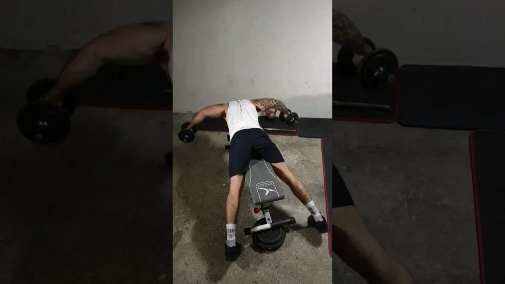 Oiseau couché dorsaux haltère (lying dumbbell lats lateral raise)