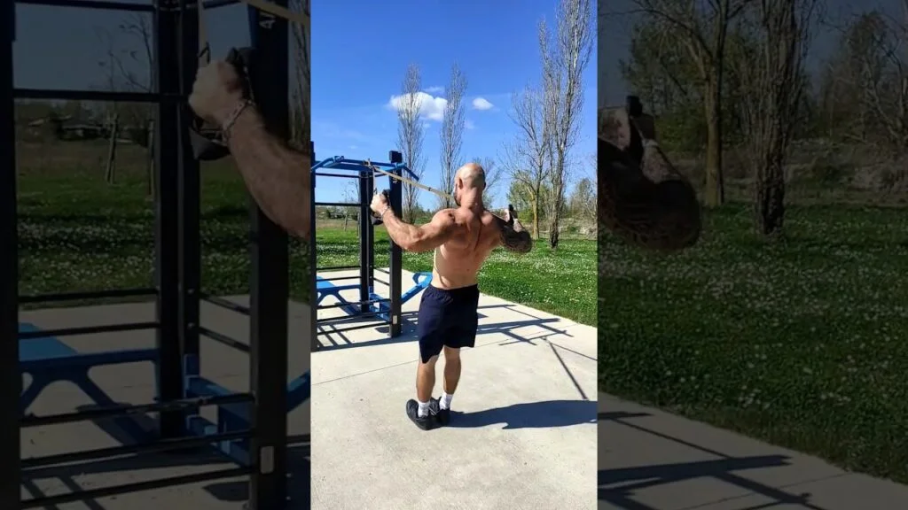 Oiseau inversé dorsaux TRX (TRX back fly)