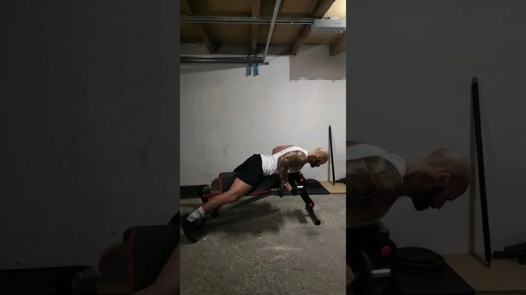 Rowing couché haltère prise neutre (neutral grip dumbbell seal row)