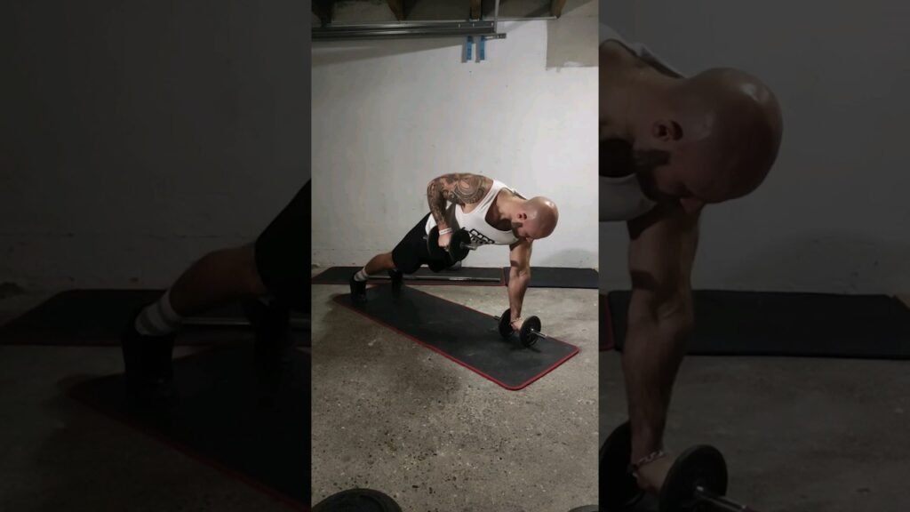 Rowing renégat haltère (dumbbell renegade row)