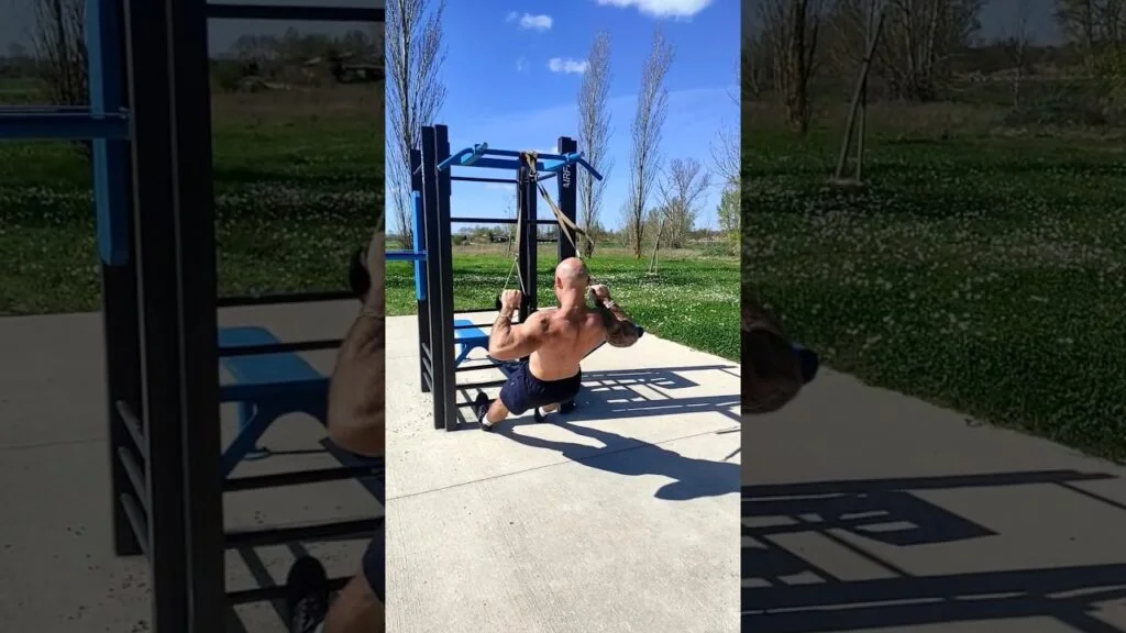 Traction TRX pronation (TRX overhand pull-up)