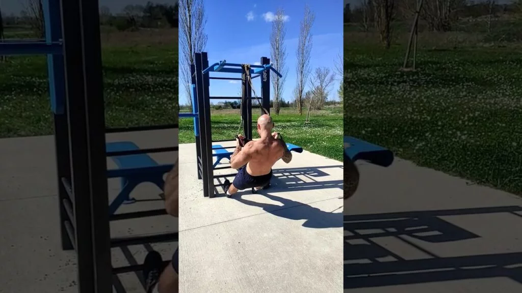 Traction TRX supination (TRX underhand pull-up)