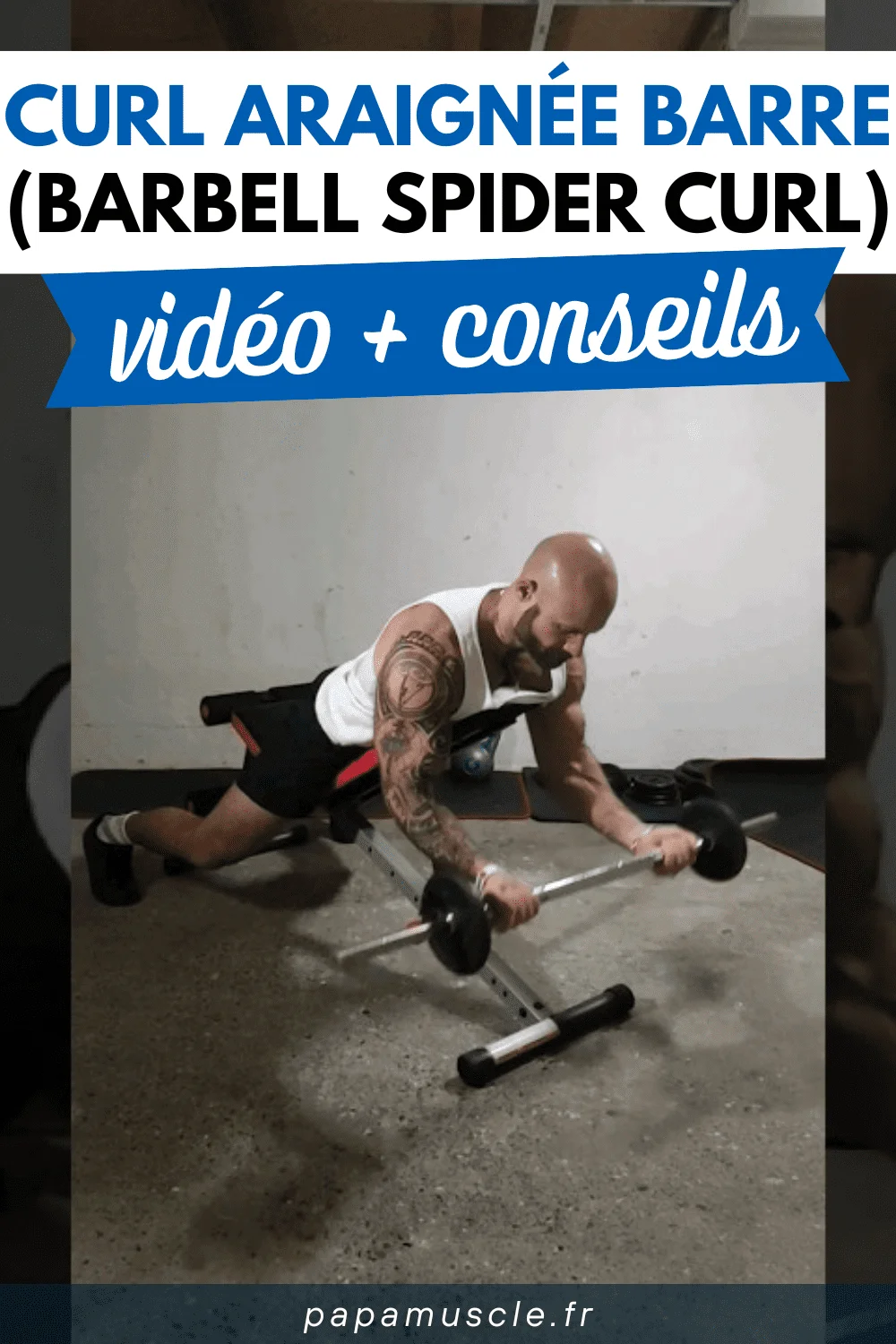 curl araignée barre