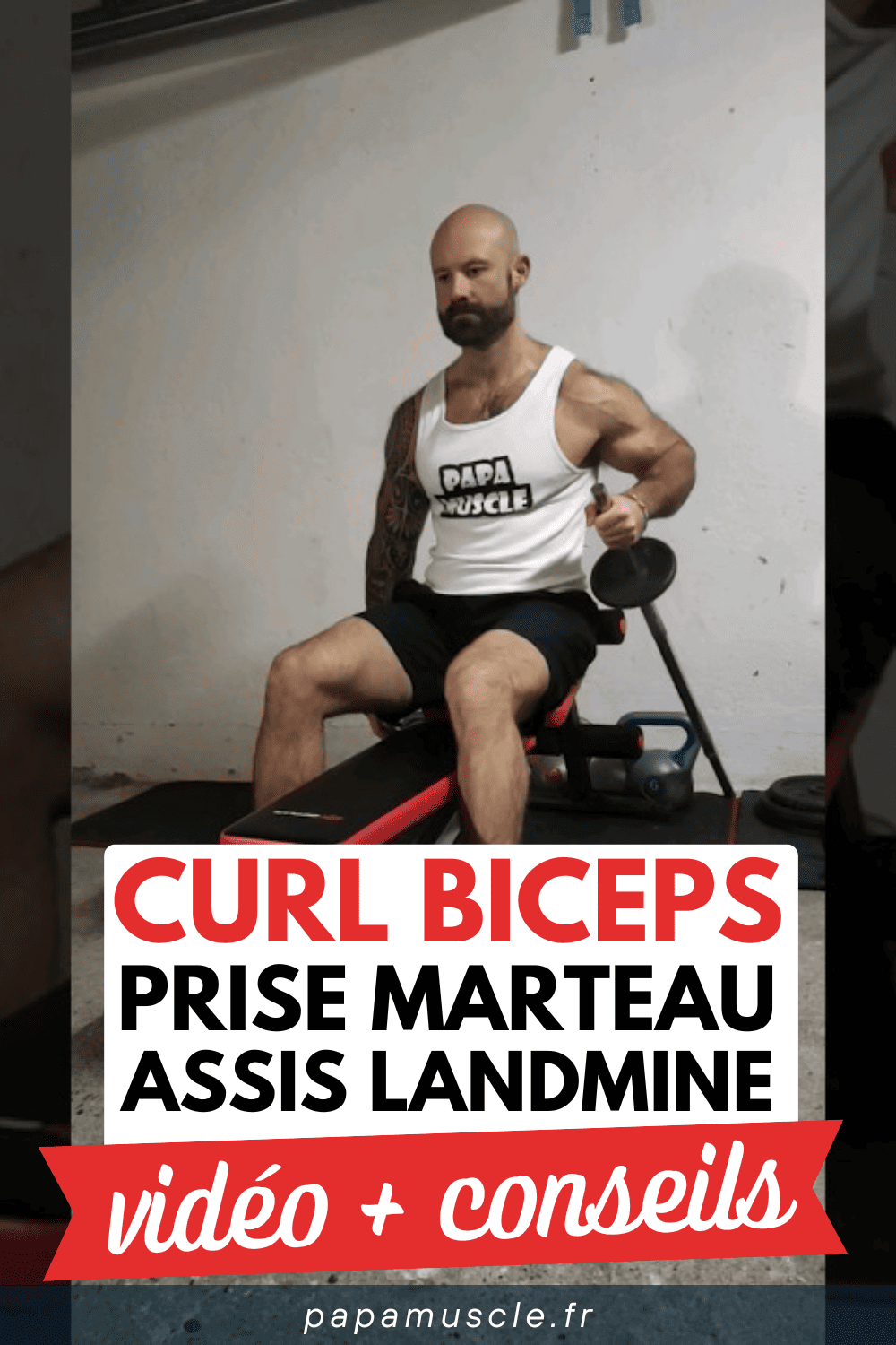curl biceps prise marteau assis landmine
