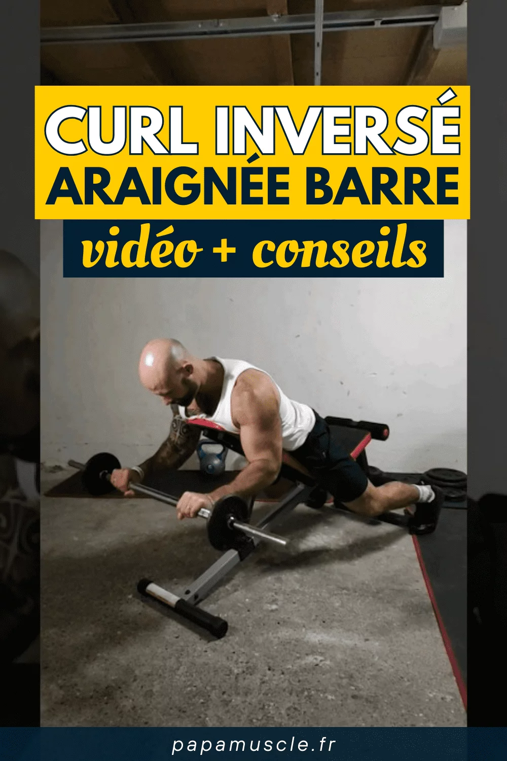 curl inversé araignée barre