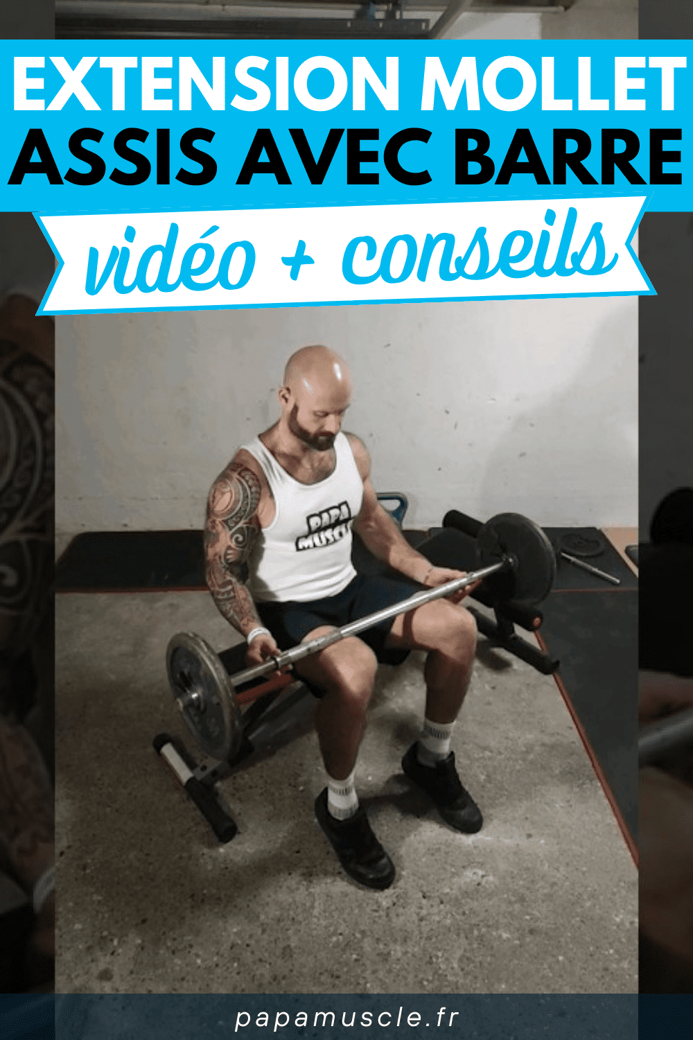 extension mollet assis barre