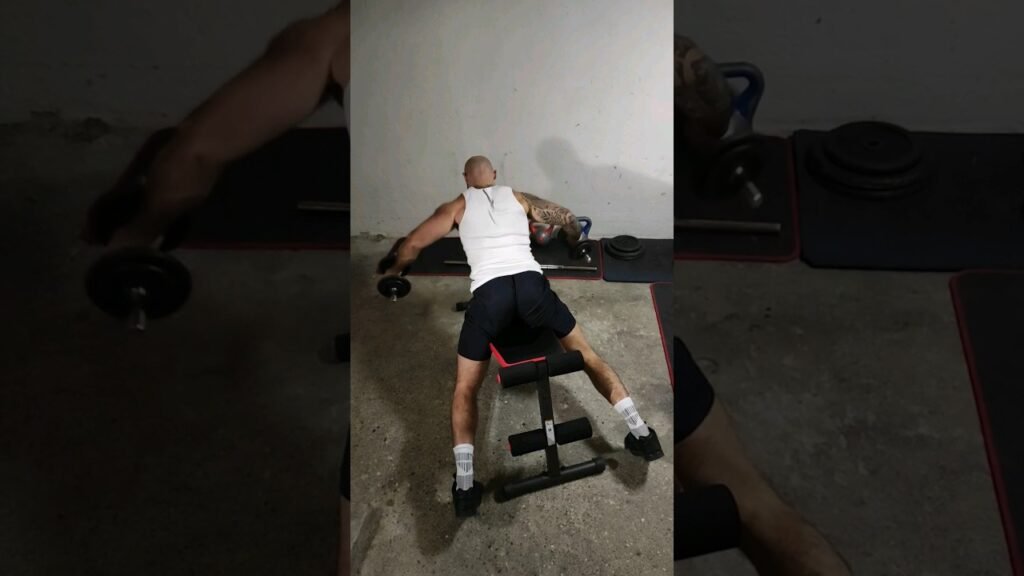 Oiseau incliné dorsaux haltère (incline dumbbell lats lateral raise)