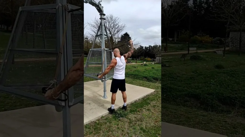 Élévation et abaissement des bras avec TRX (TRX arm up and down)