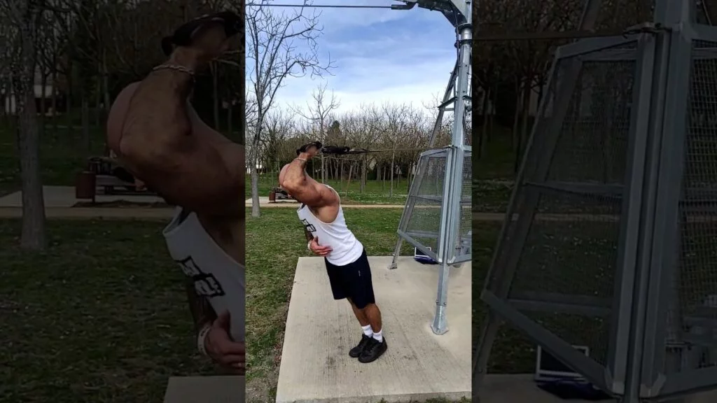 Extension triceps derrière la tête TRX haut supination à un bras (one arm underhand overhead high TRX triceps extension)