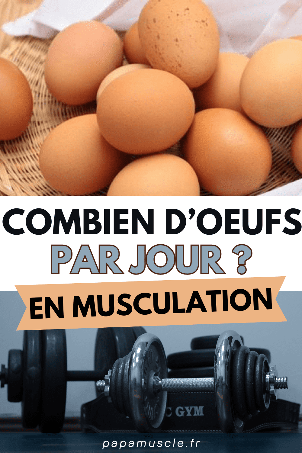 combien d'oeuf par jour
