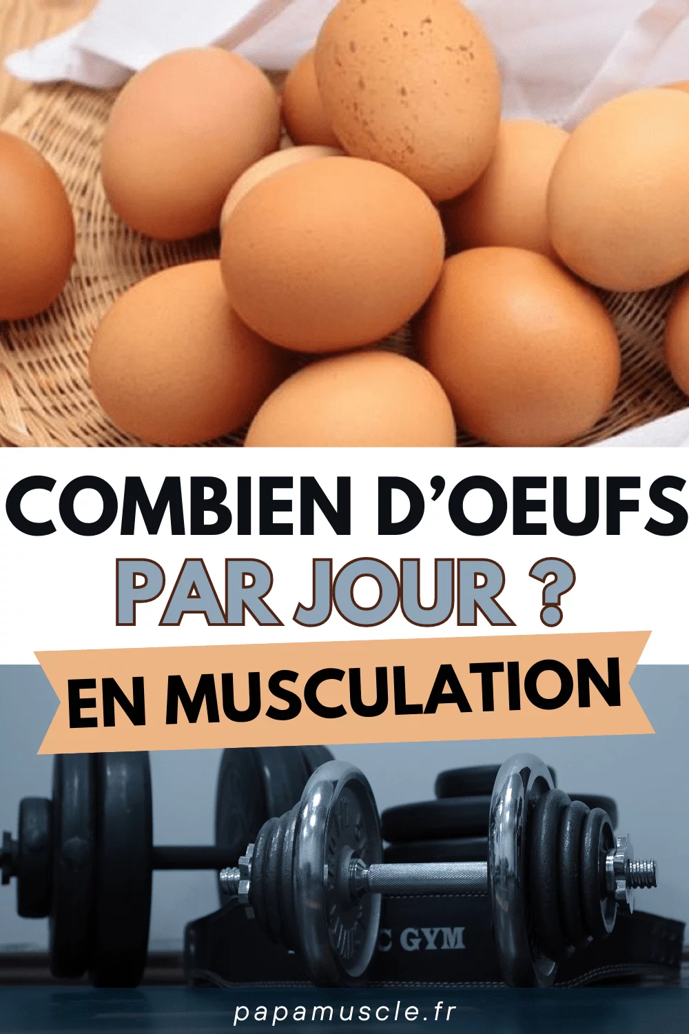 combien d'oeuf par jour