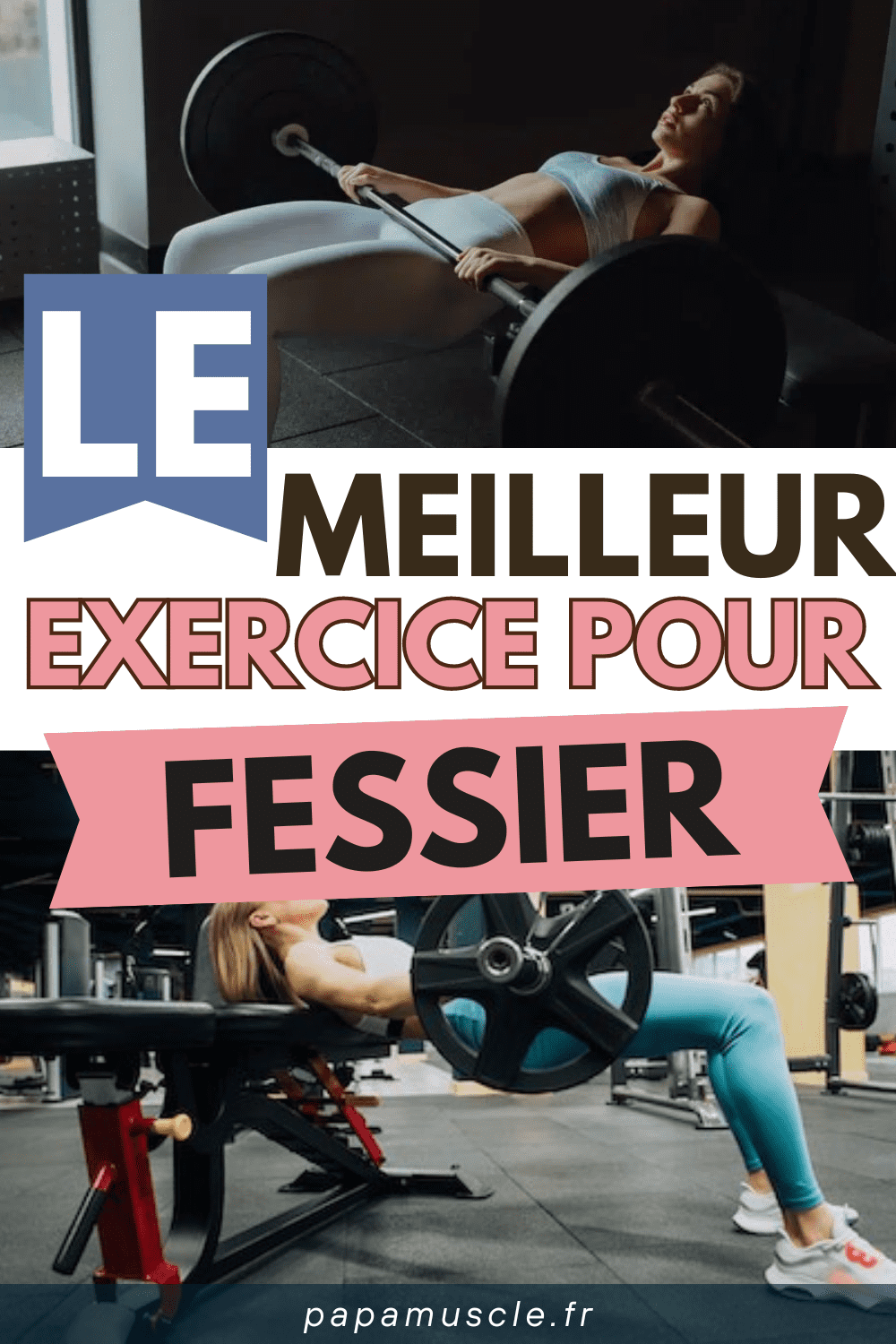meilleur exercice fessiers