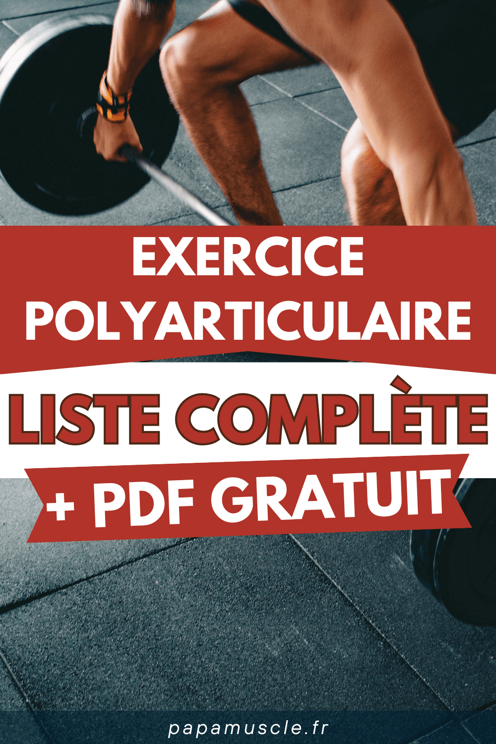 exercice polyarticulaire
