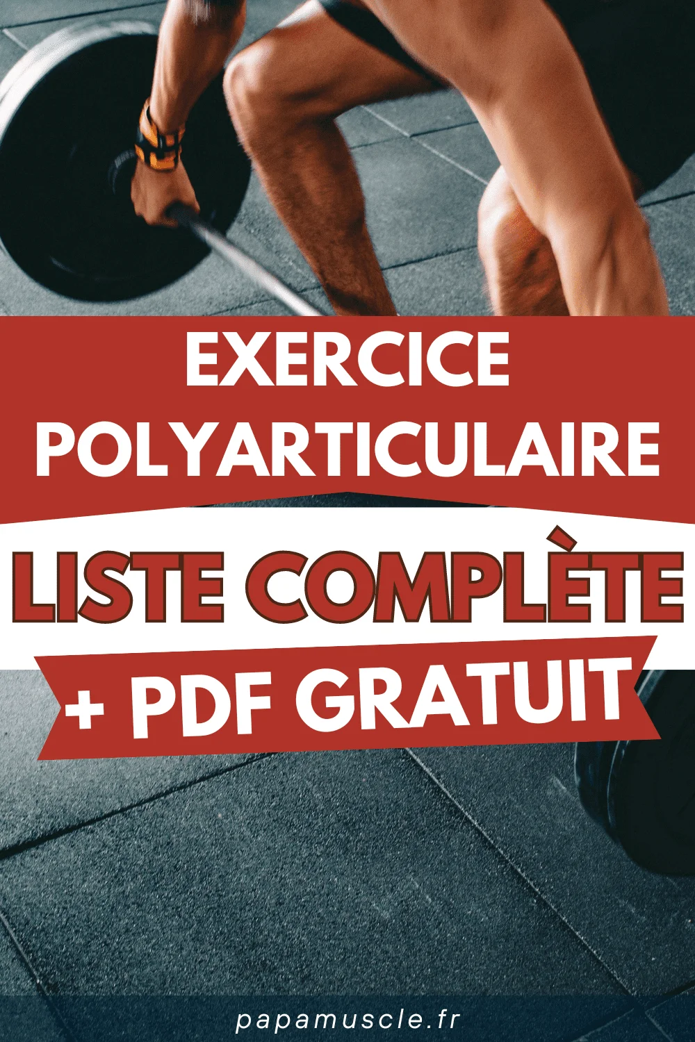 exercice polyarticulaire