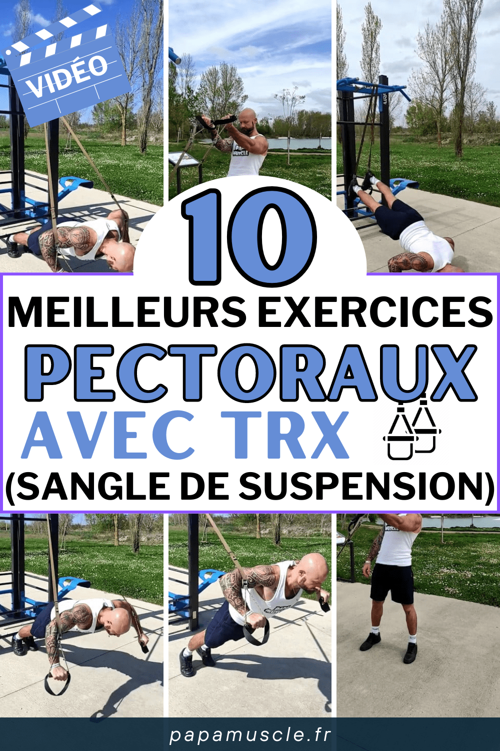 exercices pectoraux trx