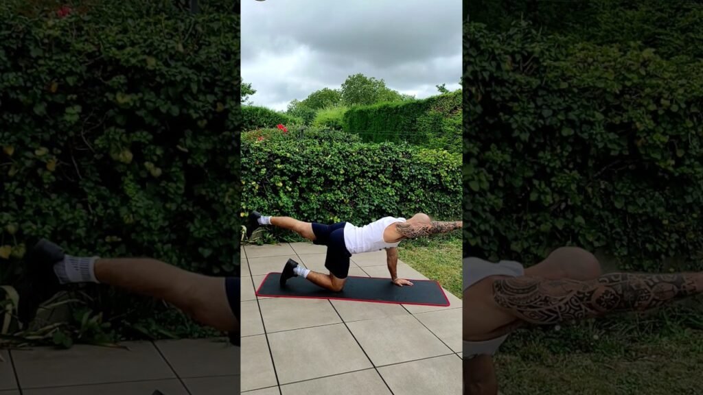 Bird dog alterné (alternating bird dog)