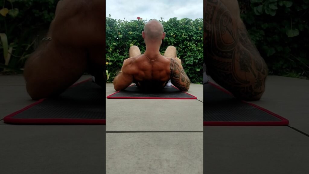 Élévation dos au sol (back raise on the floor)