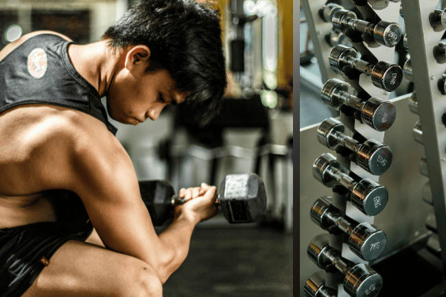 pyramidal musculation