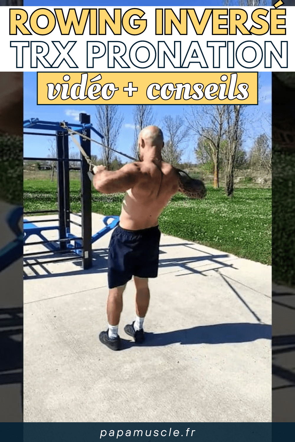 rowing inversé TRX pronation