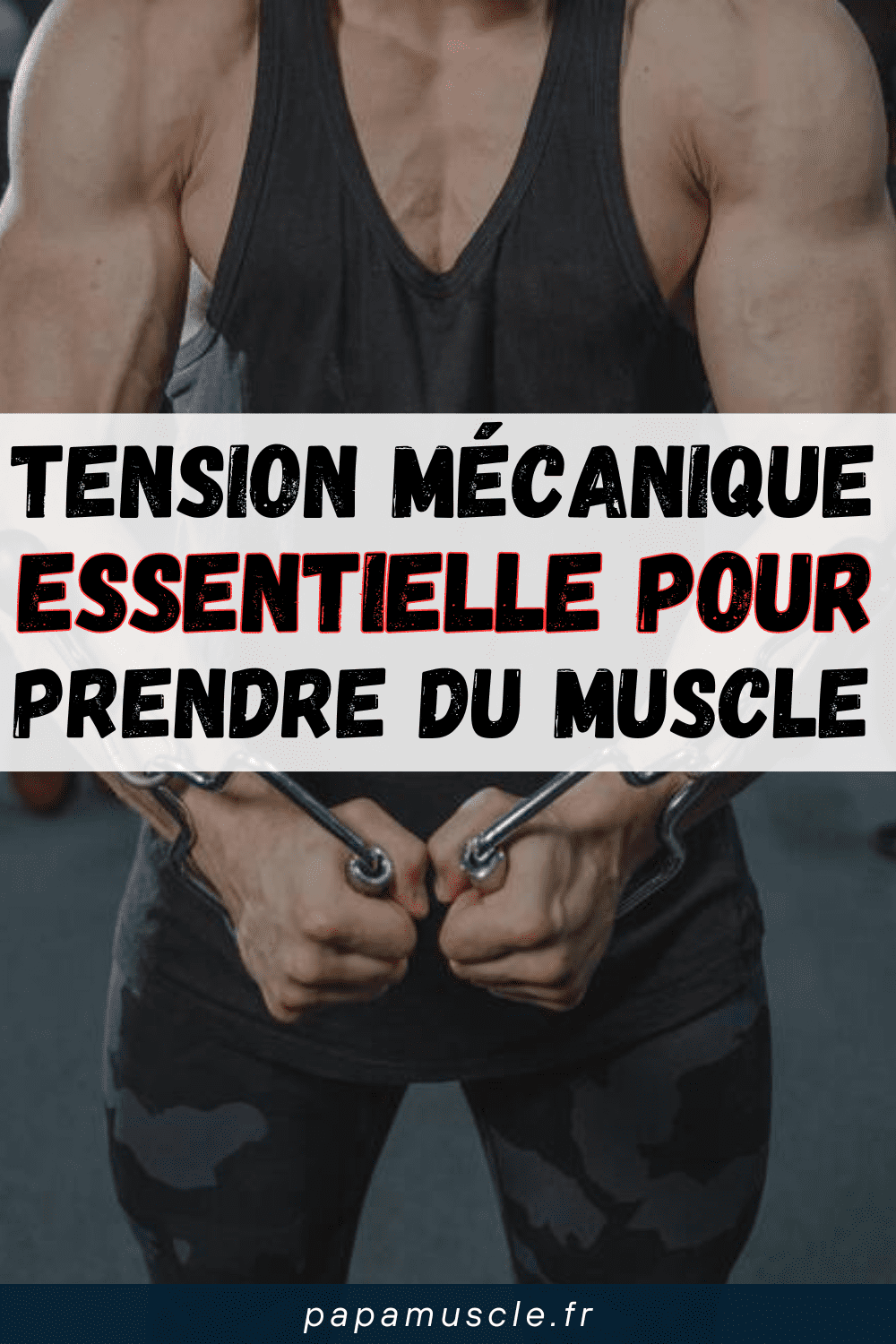 tension mécanique musculation
