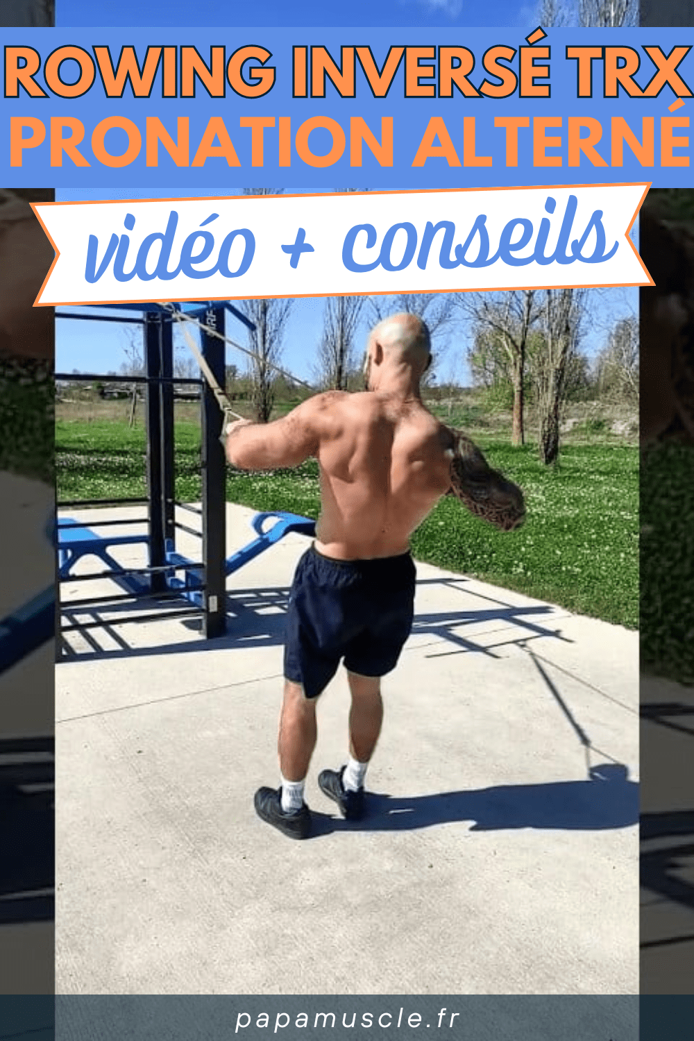 rowing inversé TRX pronation alterné