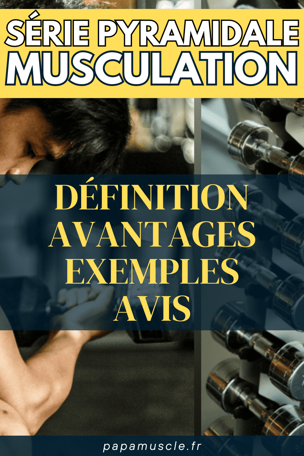 pyramidal musculation